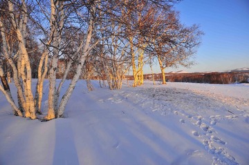 _DSC4871-1.jpg