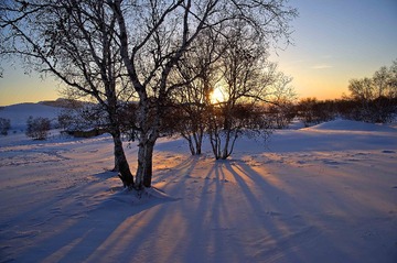 _DSC4882.jpg