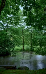 8FDE01E0-66DB-4B34-B939-0D205041F76F/L0/001