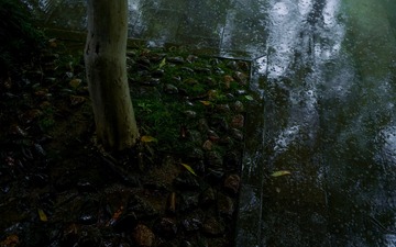 C7D678FE-F2F0-416A-8489-B2CFA46C54F2/L0/001