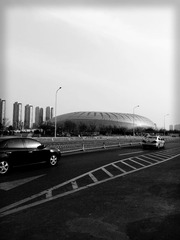 20130210_152951a.jpg
