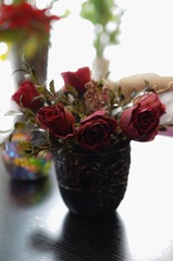 20130331-DSC00665.jpg
