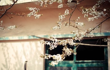 20140329-DSC03318