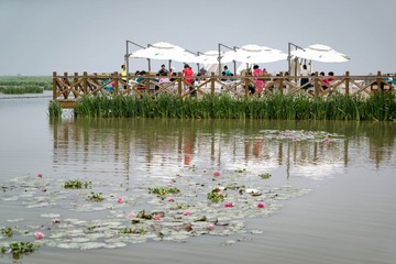 20140601-DSC05479