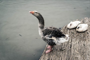 20140601-DSC05574