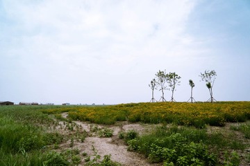 20140601-DSC05618