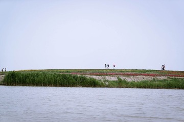 20140601-DSC05653