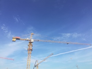 2779428
