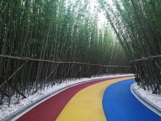 2723528