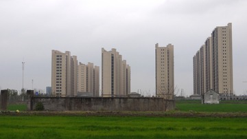 2529734