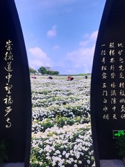 3477622