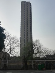 3524073