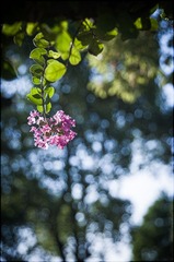 “DSC_6783”为智能对象-1.jpg