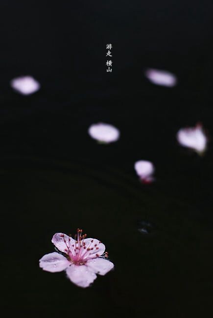 横山桥.春<br />
