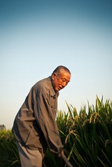 爷爷