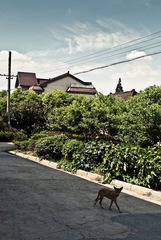 苏南小镇