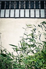 苏南小镇