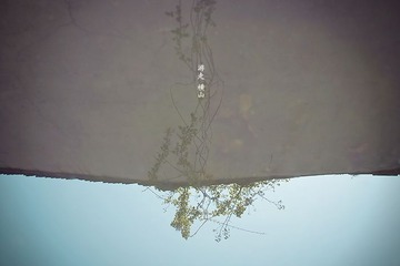 横山桥.春