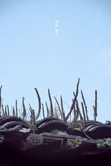 横山桥.春