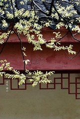 横山桥.春