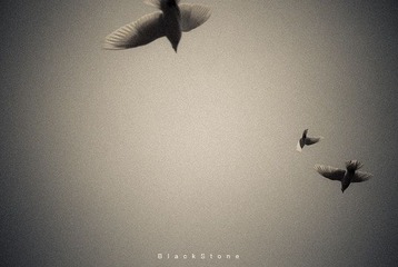 Fly freely