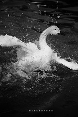 水暖