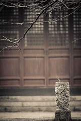 《春雨》