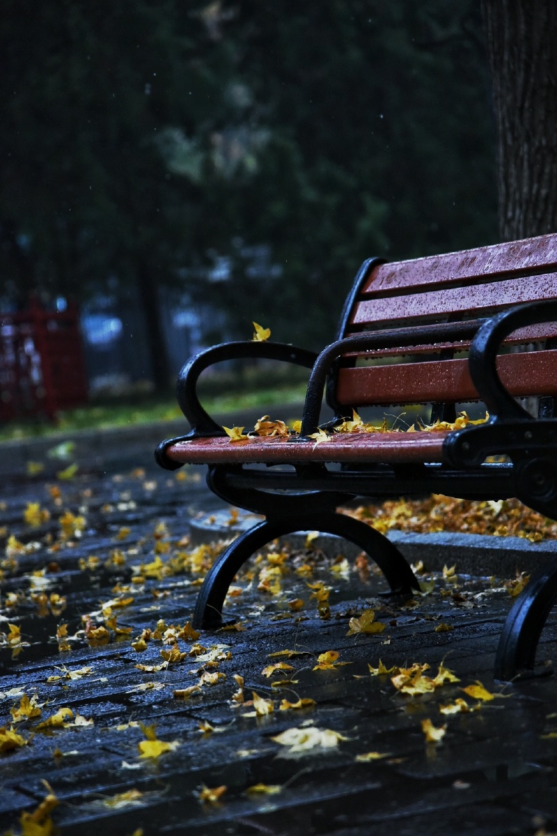 每一个雨中的公园都是禅意大师自在飞花轻似梦无边丝雨细如愁