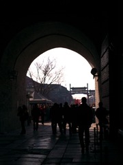 IMGP2319.jpg