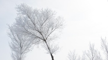456315