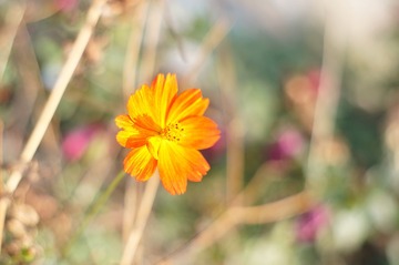 _DSC638601