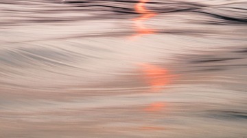 _DSC3548