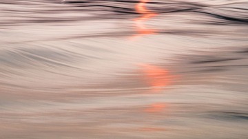 _DSC3548
