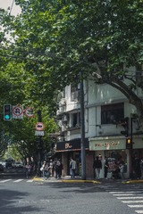 DSCF4733
