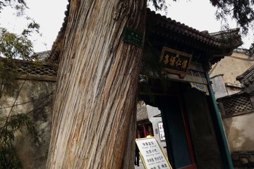 DSCF1511.jpg