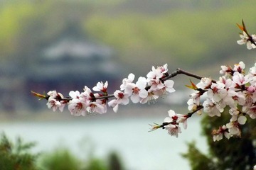 DSCF1660.jpg