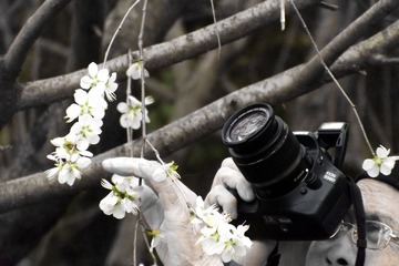 DSCF1664.jpg