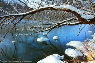 雪