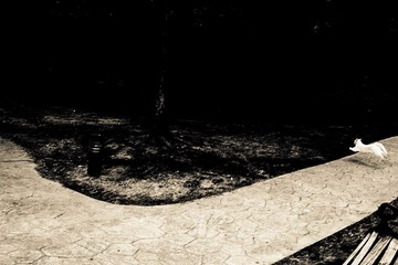 SDIM6382-0-0-5-