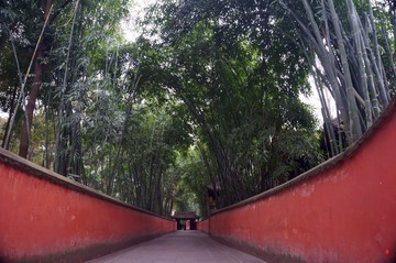 DSC09460 (2)