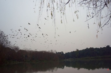 DSC09745 (2)