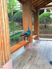 IMG_7019 (2)