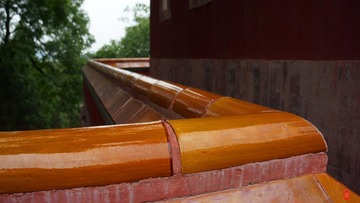 DSC03531 (2)