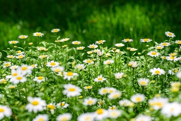 750DSC_11958
