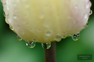 DSC_23581.jpg