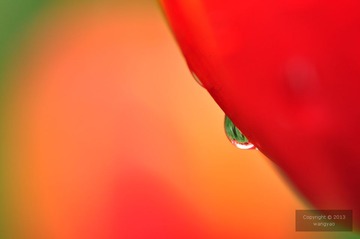 DSC_23595.jpg