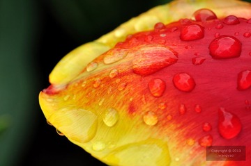 DSC_23604.jpg