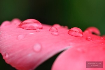 DSC_23623.jpg
