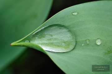 DSC_23799.jpg