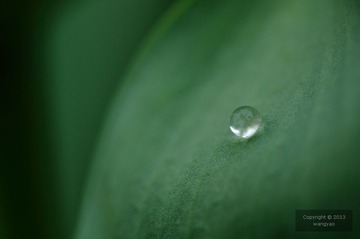 DSC_23806.jpg